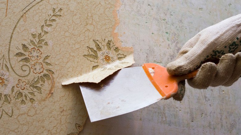 Wallpaper removal experts